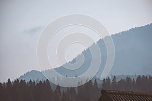 Panoramic view of misty forest in western carpathian mountains.