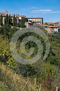 Panoramic view of Montalcino medieval town in Tuscany