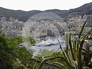 Panoramic view of montecarlo