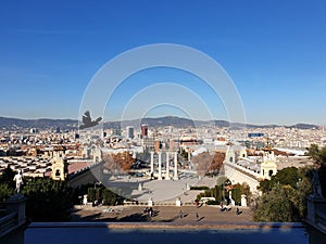 Panoramic view from Montjuic on Barcelona city, Plaza Espana, sunny day, blue sky, Spain photo