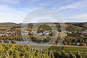 View of the Moselle valley at Brauneberg photo