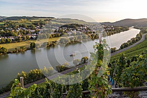 View of the Moselle valley at Brauneberg photo