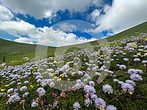 Panoramic view of Mount Redentore during summer season