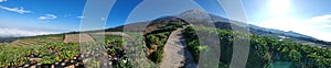 Panoramic view of Mount Sumbing and vegetable garden in Indonesia