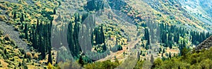 Panoramic view of mountain forests, Kyrgyzstan, Middle Asia