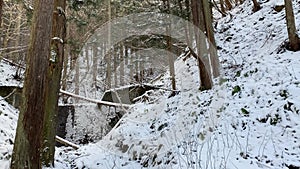A panoramic view of mountain house covered with snow. Winter forest Japan.