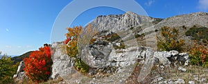 Panoramic view of the mountain range, rocks and trees, bright autumn colors.