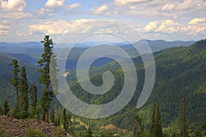 Panoramic view of mountain ranges from the top of the mountain with growing pine trees under the clouds
