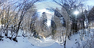 Panoramic view of a mountain roud