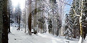 Panoramic view of a mountain roud on winter