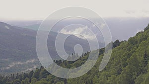 Panoramic view mountain valley and green highlands in misty haze