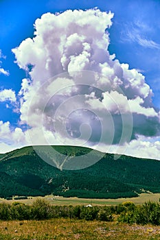 panoramic view of the mountains covered with coniferous forest and cumulus clouds above them