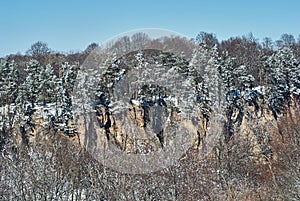 Panoramic view of the mountains. In the foreground are branches of snow-covered trees, against the background is a clear blue sky.