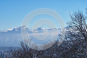 Panoramic view of the mountains. In the foreground are branches of snow-covered trees, against the background is a clear blue sky.