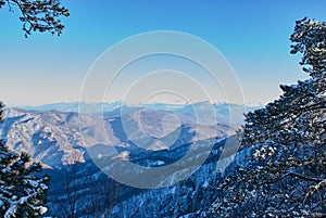 Panoramic view of the mountains. In the foreground are branches of snow-covered trees, against the background is a clear blue sky.