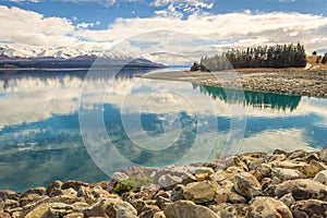 Panoramic view of the mountains and lakeside pine trees reflecting the turquoise water Lake Pukaki