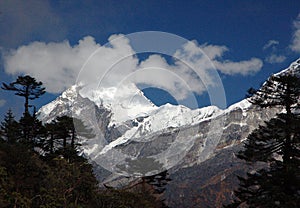 A Panoramic View Of Mountains & Pine Trees