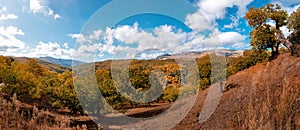 Panoramic view of the mountains of Serrania de Ronda and the chestnut forest in autumn. Trekking route, scenic, around the photo