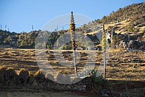 Panoramic view mountains in Sierra de los Cuchumatanes, Huehuetenango, Guatemala, arid landscape. photo