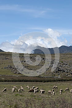 Panoramic view mountains in Sierra de los Cuchumatanes, Huehuetenango, Guatemala, arid landscape. photo