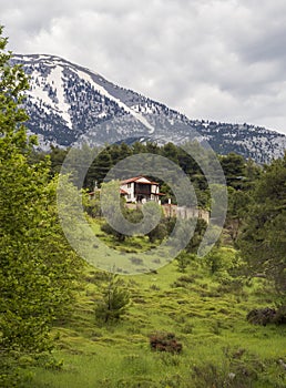 Panoramic view of the mountains in the snow, chalets and forest on the Greek island of Evia, Greece