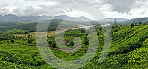 Panoramic view in Munnar in western Ghats, Kerala