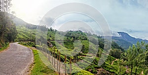 Panoramic view in Munnar in western Ghats, Kerala