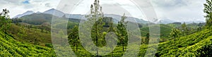 Panoramic view in Munnar in western Ghats, Kerala