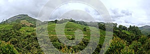 Panoramic view in Munnar in western Ghats, Kerala photo