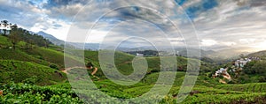 Panoramic view in Munnar in western Ghats, Kerala photo