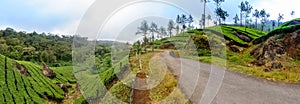 Panoramic view in Munnar in western Ghats, Kerala photo