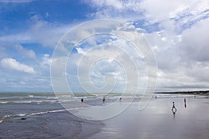 Panoramic view of Muriwai Regional Park, New Zealand