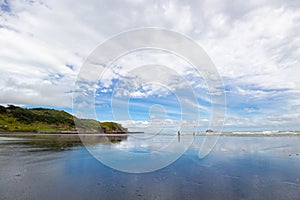 Panoramic view of Muriwai Regional Park, New Zealand