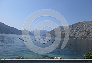 Panoramic view with Mussel Farm on the Bay of Kotor in Montenegro