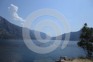 Panoramic view with Mussel Farm on the Bay of Kotor in Montenegro