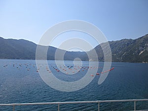 Panoramic view with Mussel Farm on the Bay of Kotor in Montenegro