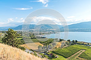 View from above of orchards and vineyards with Okanagan Lake and city of Penticton in summer photo