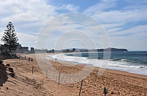 Panoramic view of Narrabeen beach on a cloudy day