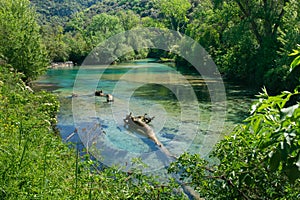 Panoramic view of natural pool in the green forest