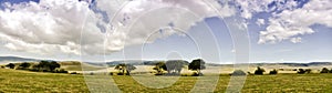 Panoramic View of Ngorongoro