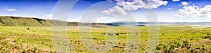 Panoramic View of Ngorongoro photo