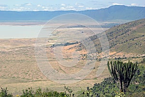 Panoramic view of Ngorongoro Park