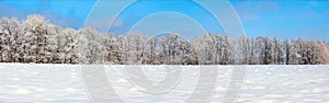 The panoramic view with nice snowy trees, blue sky and textured snow.