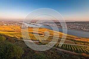 View to Rheingau, Bingen and Rheinhessen photo