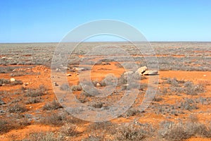 Panoramic view Nullarbor Plain, Australia