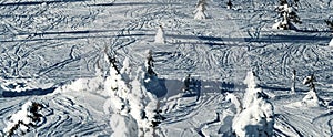 Panoramic view of off piste slopes with tracks from downhill skiers