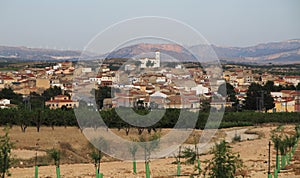 Panoramic view of Ontur village in Spain