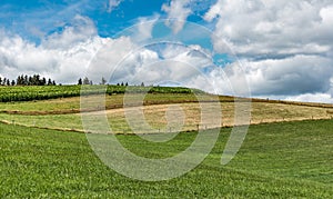 Panoramic view over the agriculture fields and meadows of the East-Belgian countryside near Burg-Reuland