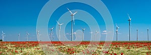 Panoramic view over beautiful farm landscape with wheat field, poppies and chamomile flowers, wind turbines to produce green