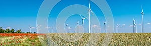 Panoramic view over beautiful farm landscape with wheat field, poppies and chamomile flowers, wind turbines to produce green